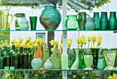 CLAUS DALBY GARDEN, DENMARK: GREENHOUSE, STUDIO - GREEN CONTAINERS FOR FLOWER ARRANGING ON SHELVES