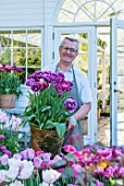 CLAUS DALBY GARDEN, DENMARK: CLAUS DALBY HIOLDING TERRACOTTA CONTAINER OF TULIPS - TULIPA DREAM TOUCH - BESIDE THE CONSERVATORY, GREENHOUSE