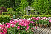 CLAUS DALBY GARDEN, DENMARK: TEMPLE, LOGGIA, GARDEN BUILDING, HEDGES, HEDGING, PINK TULIPS, TERRACOTTA CONTAINERS - TULIP DREAM TOUCH, SANTANDER, DOUBLE SUGAR, FINOLA, GRACE KELLY