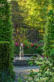 CLAUS DALBY GARDEN, DENMARK: SQUARE FOUNTAIN AT END OF GARDEN WITH PLANTING OF TULIPS - TULIPA BARCELONA AND QUEEN OF NIGHT. WOODLAND, SHADE, SHADY, WATER, FEATURE