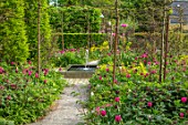 CLAUS DALBY GARDEN, DENMARK: PATH, SQUARE FOUNTAIN AT END OF GARDEN WITH PLANTING OF TULIPS - TULIPA BARCELONA AND QUEEN OF NIGHT. WOODLAND, SHADE, SHADY, WATER, FEATURE