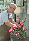 CLAUS DALBY GARDEN, DENMARK: CLAUS DALBY ARRANGING FLOWERS OF TULIP- TULIP SILVER PARROT. TULIPS, SPRING, BULBS, IN VASE