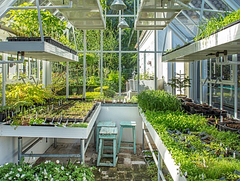 CLAUS_DALBY_GARDEN_DENMARK_GREENHOUSE_FILLED_WITH_SEEDLINGS
