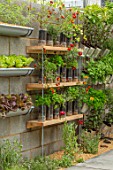 CHELSEA FLOWER SHOW 2018: THE LEMON TREE TRUST - DESIGNER TOM MASSEY: CONCRETE WALLS, CONTAINERS OF LETTUCE, MARIGOLDS. HERBS, SUSTAINABLE, RECYCLED, RECYCLING, FOOD, KITCHEN