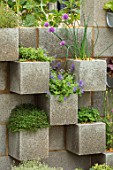CHELSEA FLOWER SHOW 2018: THE LEMON TREE TRUST - DESIGNER TOM MASSEY: CONCRETE WALLS,PLANTED WITH CHIVES AND FLOWERS, RECYCLING, RECYCLED, RE-CYCLED, CONTAINERS