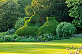ABLINGTON MANOR, GLOUCESTERSHIRE: LAWN AND CLIPPED TOPIARY YEW HEDGES, HEDGING, SUMMER, ROMANTIC, ENGLISH, COUNTRY, GARDEN