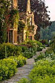 ASTHALL MANOR, OXFORDSHIRE: PATH WITH ALCHEMILLA MOLLIS, ROSES CLIMBING UP MANOR HOUSE, SUMMER, ENGLISH, COUNTRY, GARDENS