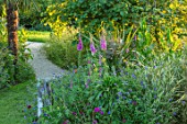 ASTHALL MANOR, OXFORDSHIRE: PATH AND BORDER WITH FOXGLOVES