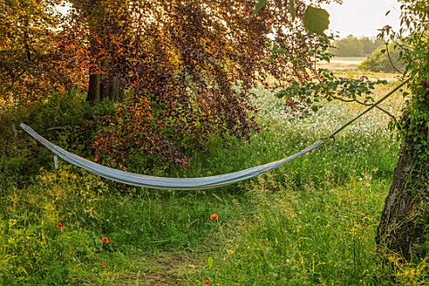 ASTHALL_MANOR_OXFORDSHIRE_MEADOW_AND_HAMMOCK_SUNRISE_ENGLISH_COUNTRY_GARDEN_SUMMER