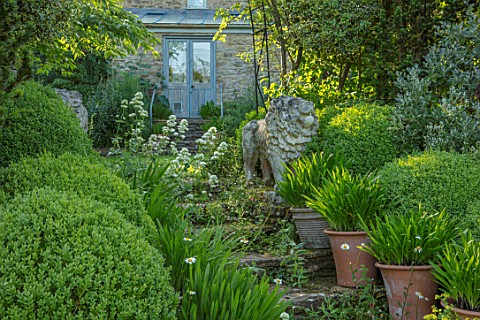 HARVARD_FARM_DORSET_LION_STATUE_STEPS_CENTRANTHUS_AND_AGAPANTHUS_IN_TERRACOTTA_CONTAINERS_ON_GRANARY