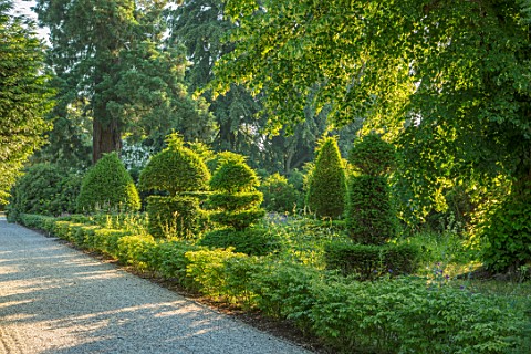 MALVERLEYS_HAMPSHIRE_THE_TOPIARY_LAWN_MEADOW_PATHS_CLIPPED_TOPIARY_YEW_SHAPES_SUMMER_HEDGES_EUONYMUS