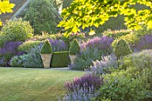 TOWN PLACE GARDEN, SUSSEX: LAWN, HERBACEOUS BORDER WITH TERRACOTTA CONTAINERS, BOX BALLS, SALVIAS