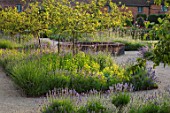 THE WALLED GARDEN AT COWDRAY, WEST SUSSEX: PATHS, RAISED CIRCULAR POOL, POND, WATER, BORDERS, LAVENDER, VERBENA BONARIENSIS, BLUE, FLOWERS, ENGLISH, COUNTRY, GARDEN