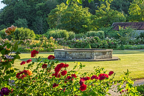 THE_WALLED_GARDEN_AT_COWDRAY_WEST_SUSSEX_RED_ROSES_LAWN_RAISED_POND_POOL_WATER_FEATURE_SUMMER_BORDER