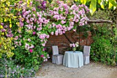 THE WALLED GARDEN AT COWDRAY, WEST SUSSEX: ROSE ARBOUR, ROSA APPLE BLOSSOM, TABLE, CHAIRS, PLACE TO SIT, AL FRESCO, DINING, ENGLISH, COUNTRY, GARDENS, SUMMER