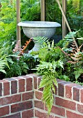 THE WALLED GARDEN AT COWDRAY, WEST SUSSEX: ENGLISH, COUNTRY, GARDEN, INSIDE OF GREENHOUSE, METAL, CONTAINER, FERNS, RAISED, BRICK, BEDS