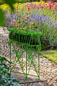 THE WALLED GARDEN AT COWDRAY, WEST SUSSEX: ENGLISH, COUNTRY, GARDEN, GREEN METAL CONTAINER ON PATIO PLANTED WITH AGASTACHE KUDOS MANDARIN. CONTAINERS, SUMMER