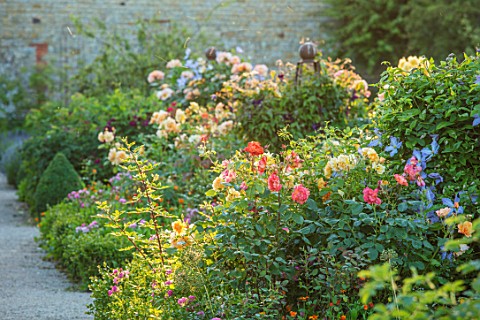THE_WALLED_GARDEN_AT_COWDRAY_WEST_SUSSEX_ENGLISH_COUNTRY_GARDEN_BORDERS_OF_ROSES_SUMMER
