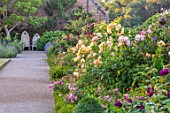 THE WALLED GARDEN AT COWDRAY, WEST SUSSEX: ENGLISH, COUNTRY, GARDEN, BORDERS OF YELLOW, RED, FLOWERED ROSES, SUMMER, BOX EDGED, BEDS, BUXUS, WOODEN THRONES, SEATS, PATHS