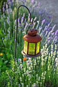 THE WALLED GARDEN AT COWDRAY, WEST SUSSEX: ENGLISH, COUNTRY, GARDEN, LANTERN, LAMP, LIGHTING, IN BORDER, LAVENDER, FLOWERS, ORNAMENTS