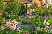 THE WALLED GARDEN AT COWDRAY, WEST SUSSEX: ENGLISH, COUNTRY, GARDEN, ROSES, LAVENDER, LION STATUE, RAISED WATER FEATURE, POOL, POND, SUMMER
