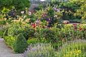 THE WALLED GARDEN AT COWDRAY, WEST SUSSEX: ENGLISH, COUNTRY, GARDEN, BORDERS OF YELLOW, RED, FLOWERED ROSES, SUMMER, BOX EDGED, BEDS, BUXUS, CLEMATIS