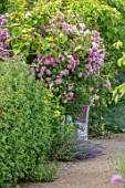 THE WALLED GARDEN AT COWDRAY, WEST SUSSEX: ROSE ARBOUR, TABLE, CHAIRS, PLACE TO SIT, AL FRESCO, DINING, ENGLISH, COUNTRY, GARDENS, SUMMER