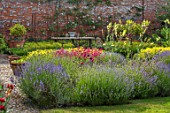 THE WALLED GARDEN AT COWDRAY, WEST SUSSEX: ENGLISH, COUNTRY, GARDEN, BORDER WITH PENSTEMON, LAVENDER, PERENNIALS, SUMMER, YELLOW FLOWERS