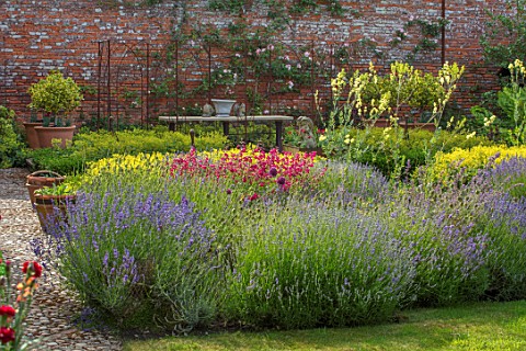 THE_WALLED_GARDEN_AT_COWDRAY_WEST_SUSSEX_ENGLISH_COUNTRY_GARDEN_BORDER_WITH_PENSTEMON_LAVENDER_PEREN