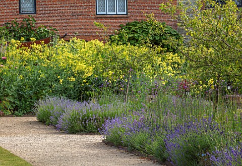 THE_WALLED_GARDEN_AT_COWDRAY_WEST_SUSSEX_GRAVEL_PATH_ENGLISH_COUNTRY_GARDEN_BORDER_WITH_THALICTRUM_F