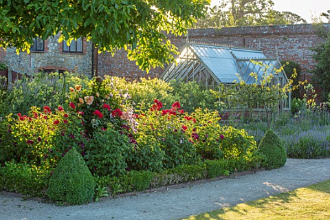 THE_WALLED_GARDEN_AT_COWDRAY_WEST_SUSSEX_BORDER_OF_ROSES_GREENHOUSE_GLASSHOUSE_ENGLISH_COUNTRY_GARDE