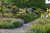 THE WALLED GARDEN AT COWDRAY, WEST SUSSEX: PATH, BORDERS WITH ROSES, LAVENDER, VERBENA BONARIENSIS, ENGLISH, COUNTRY, GARDENS, SUMMER