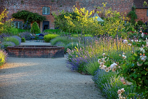 THE_WALLED_GARDEN_AT_COWDRAY_WEST_SUSSEX_PATH_BORDERS_WITH_LAVENDER_VERBENA_BONARIENSIS_BRICK_RAISED