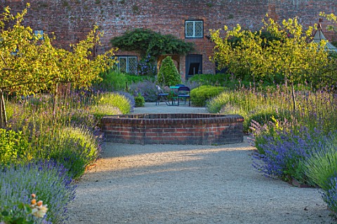 THE_WALLED_GARDEN_AT_COWDRAY_WEST_SUSSEX_PATH_BORDERS_WITH_LAVENDER_VERBENA_BONARIENSIS_BRICK_RAISED