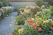 THE WALLED GARDEN AT COWDRAY, WEST SUSSEX: GRAVEL PATH, BORDERS, ROSES, BOX EDGED BEDS, PARTERRES, ENGLISH, COUNTRY, GARDENS, SUMMER