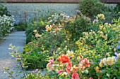 THE WALLED GARDEN AT COWDRAY, WEST SUSSEX: GRAVEL PATH, BORDERS, ROSES, BOX EDGED BEDS, PARTERRES, ENGLISH, COUNTRY, GARDENS, SUMMER