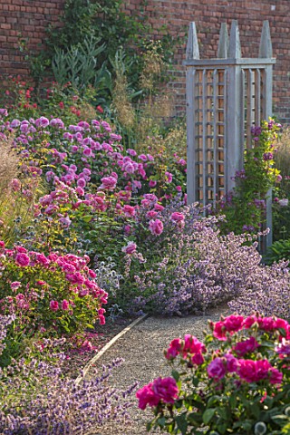 WYNYARD_HALL_COUNTY_DURHAM_ROSES__WOODEN_TRELLIS_SUPPORTS_WALL_WALLED_ROSE_GARDEN_SUMMER_JUNE_ROSA_M