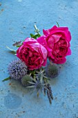 WYNYARD HALL, COUNTY DURHAM: STILL LIFE OF ROSE AND PERENNIALS PLANTED WITH THEM ON BLUE TABLE - PINK ROSE - ROSA LADY OF MEGGINCH