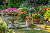 COTON MANOR GARDEN, NORTHAMPTONSHIRE: PELARGONIUMS IN CONTAINERS ON TERRACE, PATIO, JULY, SUMMER, FLOWERING, RED, PINK