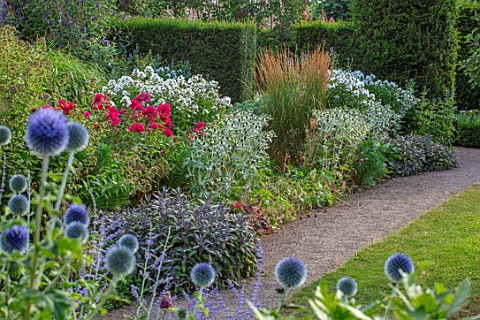 HAMPTON_COURT_CASTLE_HEREFORDSHIRE_PATH_BORDERS_WITH_PHLOX_SALVIA_ERYNGIUMS_CALAMAGROSTIS_HEDGES_HED