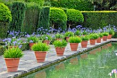HAMPTON COURT CASTLE, HEREFORDSHIRE:THE DUTCH GARDEN, JULY - BLUE AGAPANTHUS IN TERRACOTTA CONTAINERS , RECTANGULAR FORMAL POOL, CANAL, ENGLISH, WATER, FORMAL