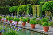 HAMPTON COURT CASTLE, HEREFORDSHIRE:THE DUTCH GARDEN, JULY - BLUE AGAPANTHUS IN TERRACOTTA CONTAINERS , RECTANGULAR FORMAL POOL, CANAL, GARDEN, ENGLISH, WATER, FORMAL