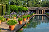 HAMPTON COURT CASTLE, HEREFORDSHIRE: THE DUTCH GARDEN - TERRACOTTA CONTAINERS OF BLUE AGAPANTHUS BESIDE CANAL, POND, POOL, WATER, SUMMER, BULBS, JULY, BUILDINGS, SUMMERHOUSES