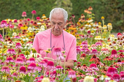 MEADOW_FARM_GARDEN_AND_NURSERY_WORCESTERSHIRE_ROB_COLE_AMONGST_ECHINACEAS_IN_THE_NURSERY_PERENNIALS_