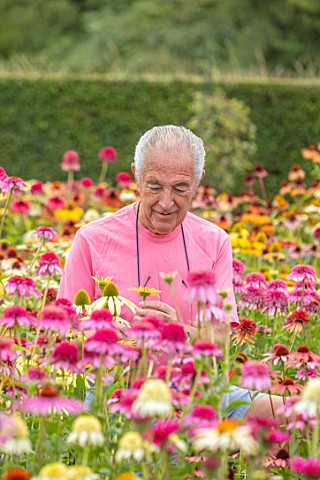 MEADOW_FARM_GARDEN_AND_NURSERY_WORCESTERSHIRE_ROB_COLE_AMONGST_ECHINACEAS_IN_THE_NURSERY_PERENNIALS_