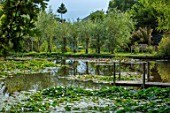 BENNETTS WATER GARDENS, DORSET: LAKE, WILLOWS, JETTY, WOODEN, WATER LILIES, WATERLILIES, POND, POOL, REFLECTIONS, REFLECTED