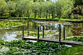 BENNETTS WATER GARDENS, DORSET: LAKE, WILLOWS, JETTY, WOODEN, WATER LILIES, WATERLILIES, POND, POOL, REFLECTIONS, REFLECTED