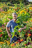 ASTON POTTERY, OXFORDSHIRE: STEPHEN BAUGHAN HOLDING SUNFLOWERS IN THE ANNUAL BORDERS, SUMMER, AUGUST