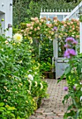 CLAUS DALBY GARDEN, DENMARK: BRICK PATH BESIDE KITCHEN WITH HYDRANGEAS IN VERSAILLES CONTAINERS BESIDE GREENHOUSE