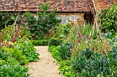 WARDINGTON MANOR, OXFORDSHIRE: PATH IN THE WALLED POTAGER, KITCHEN GARDEN - BORDERS WITH KALE AND SWEET PEAS ON TRIPODS. LATE, SUMMER, ANNUALS, WALLS, ENGLISH, COUNTRY, GARDEN